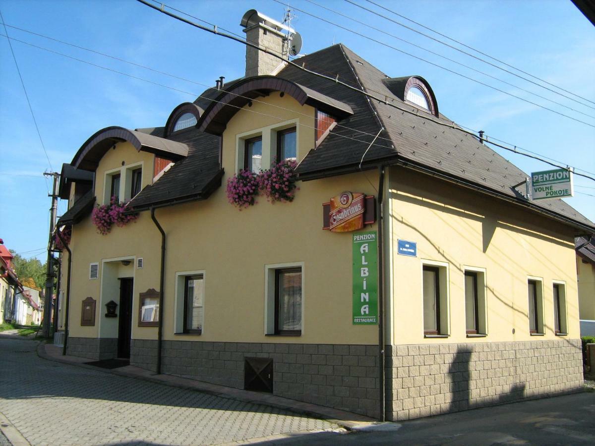 Penzion Albina - Restaurace Высоке-над-Йизероу Экстерьер фото